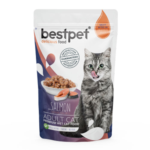 BestPet Delicious Food with Salmon in Jelly Wet Cat Food Pouch 85g - Mickey's Pets Store