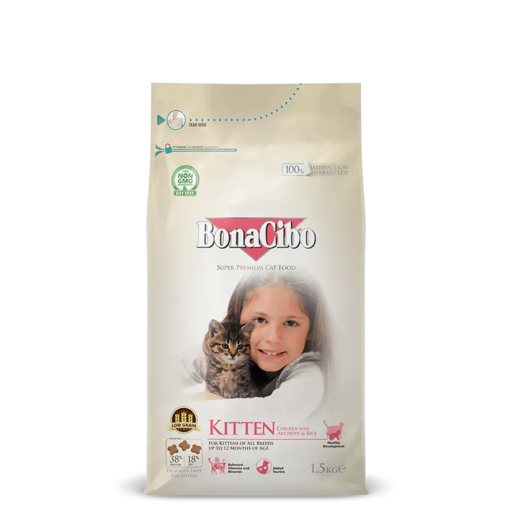 Bonacibo Kitten (1.5kg) - Mickey's Pets Store