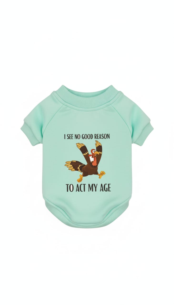 Orgo Sweatshirt with scotch S 32*27 cm - Mickey's Pets Store