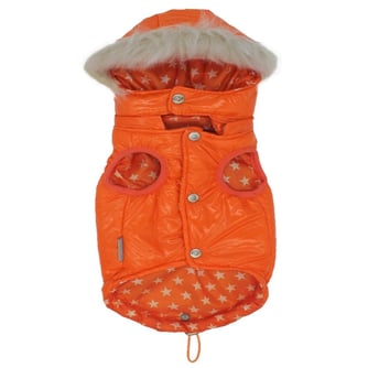 Pawstar Large Orange vest - Mickey's Pets Store