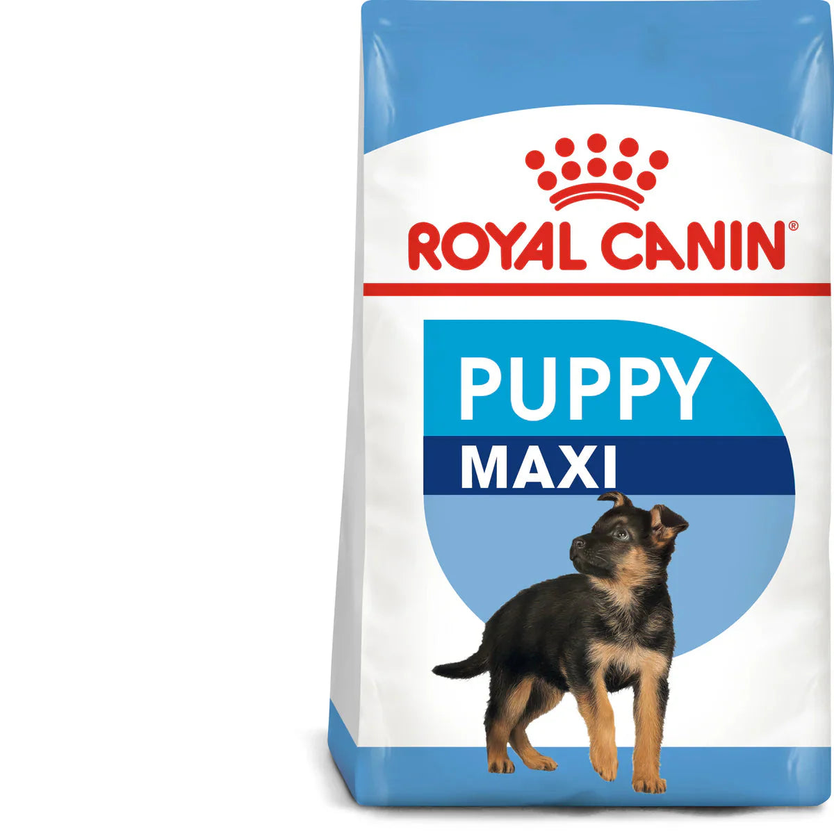 Royal Canin Maxi Puppy (4KG/16kg) - Dry food for large dogs - Adult weight from 26 to 44 KG. From 2 to 15 months - Mickey's Pets Store