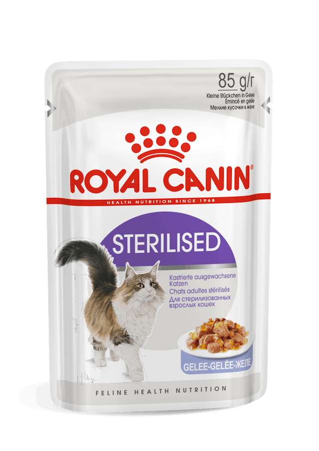 Royal Canin Sterilised Wet food for adult cat in jelly (85gm\ Pouch) - Mickey's Pets Store