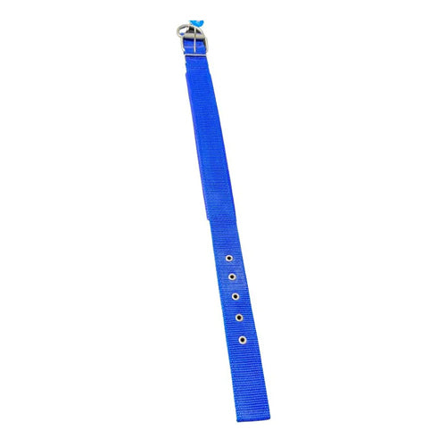 Bomei Small Dog Leash - Mickey's Pets Store