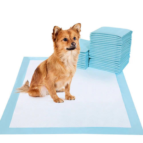 Dodzy Training Pads 60x90 cm 10 Pads - Mickey's Pets Store
