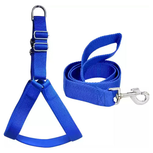 Fancy Blue XL Dog Leash - Mickey's Pets Store