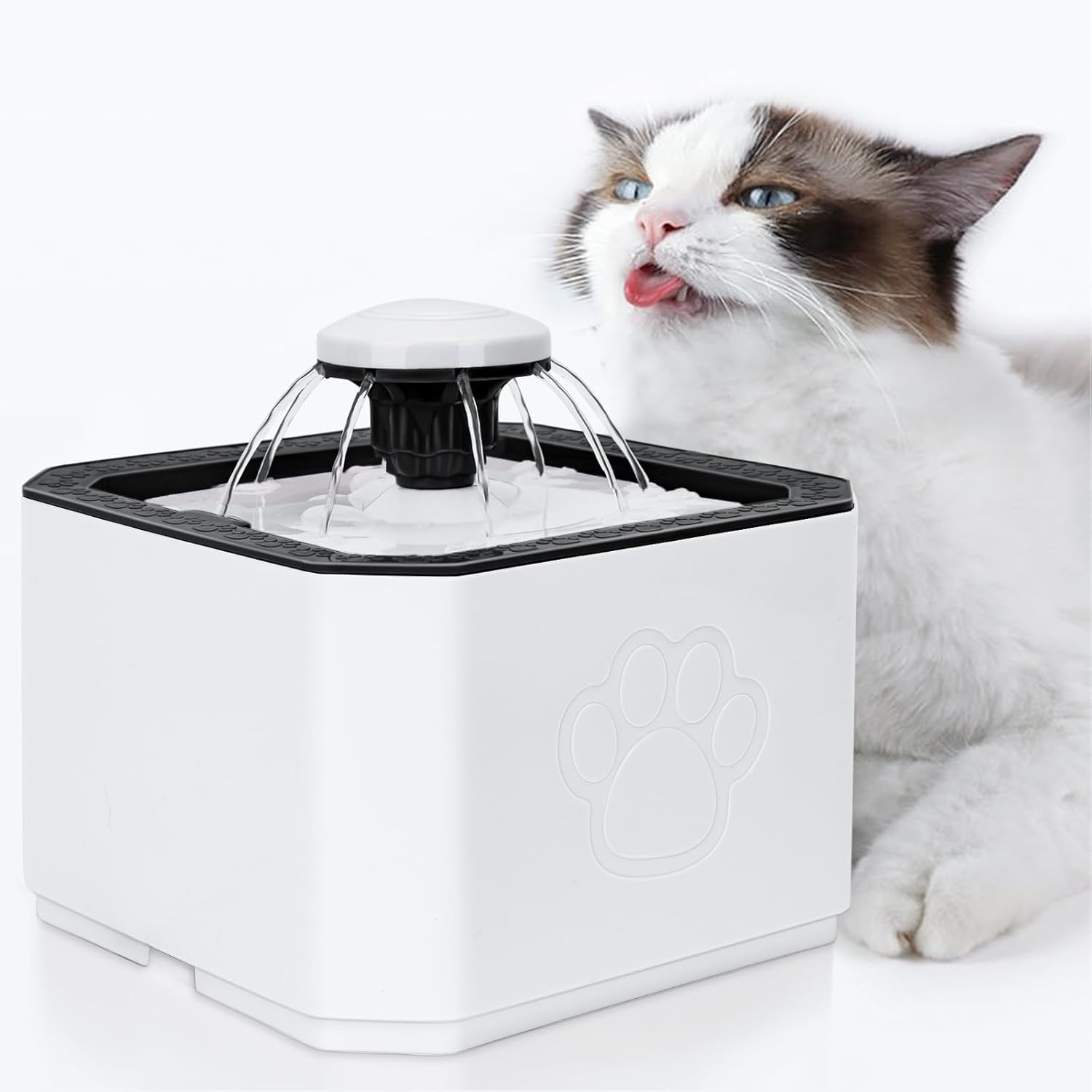 Water Fountain for Cats and Dogs - Mickey's Pets Store