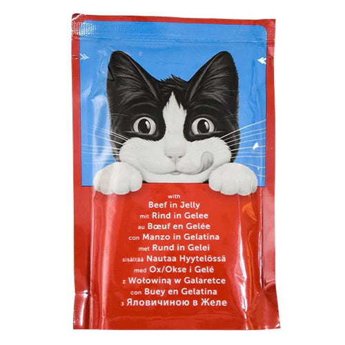 PURINA FELIX Original Wet Cat Food Pouch with Beef in Jelly 100g - Mickey's Pets Store