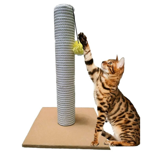 Scratch Toy 25 - Mickey's Pets Store