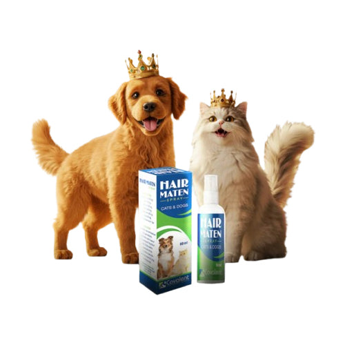 Covalent Hair Maten Spray for Cats 60ml - Mickey's Pets Store