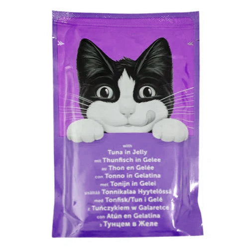 PURINA FELIX Original Wet Cat Food Pouch with Salmon in Jelly 100g - Mickey's Pets Store