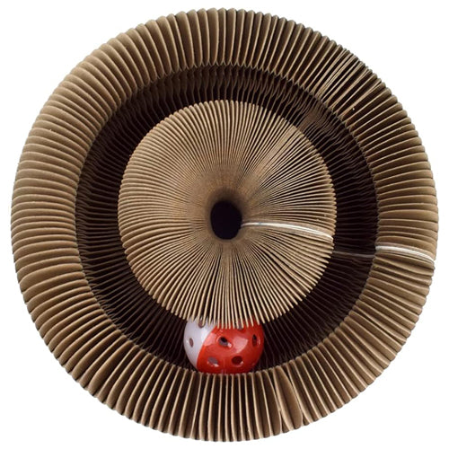 Magic Organ Cat Scratching Board Toy - Mickey's Pets Store