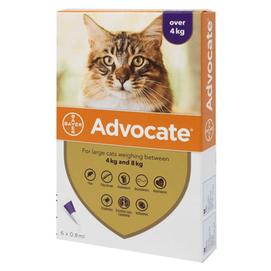 Advocate for Cats Spot On (For Large Cats over 4kg) - 1 Pipette - Mickey's Pets Store