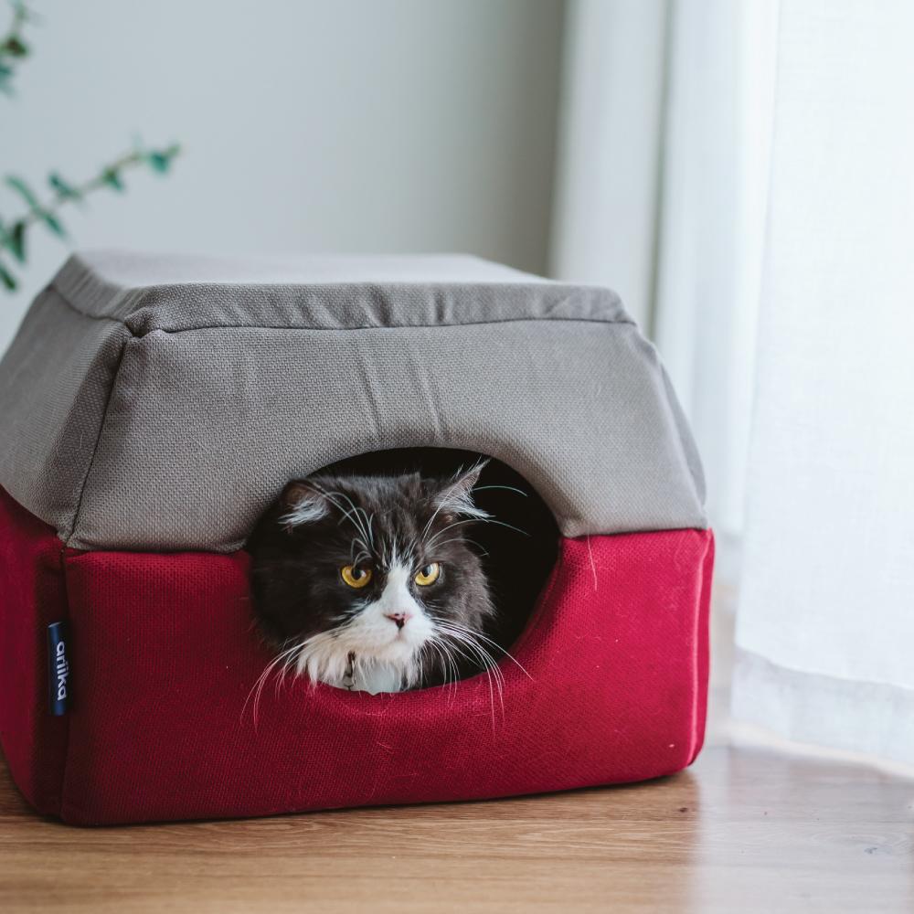 Bumble Bee Pet Bed - Mickey's Pets Store