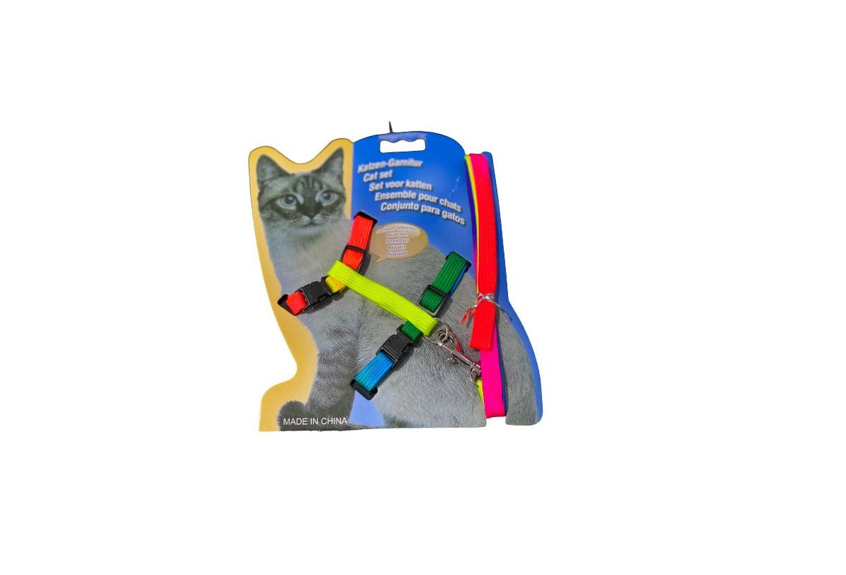 Rainbow Packed Cat Leash in Card - Mickey's Pets Store
