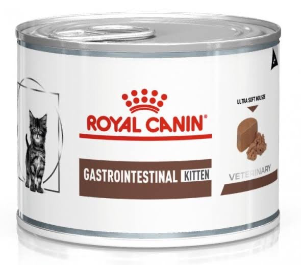 Gastrointestinal kitten - Mickey's Pets Store