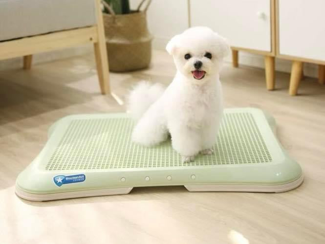 Dog Litter Box Pads Holder - Mickey's Pets Store