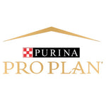 Pro Plan