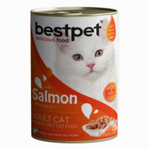 BestPet Delicious Food Cat Wet Food with Salmon 400g - Mickey's Pets Store