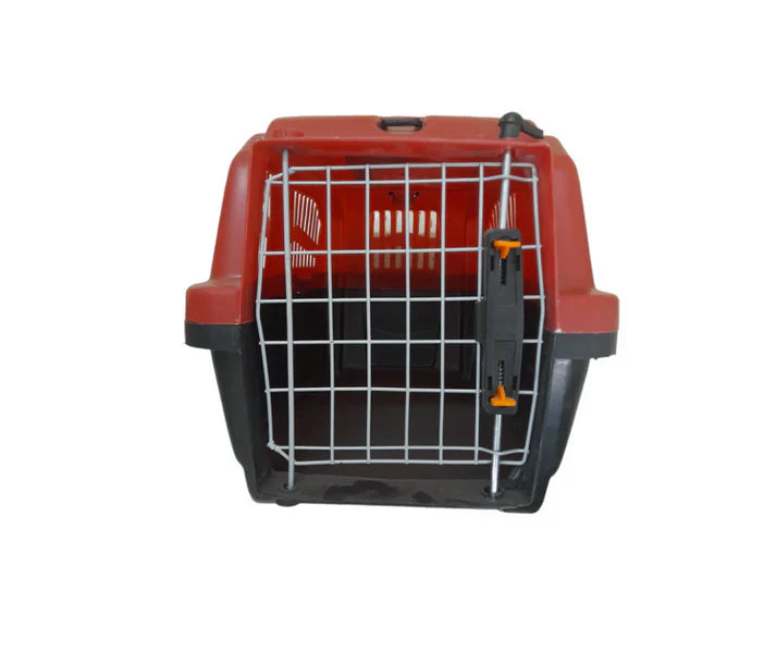 Cat & Puppy Box - Mickey's Pets Store