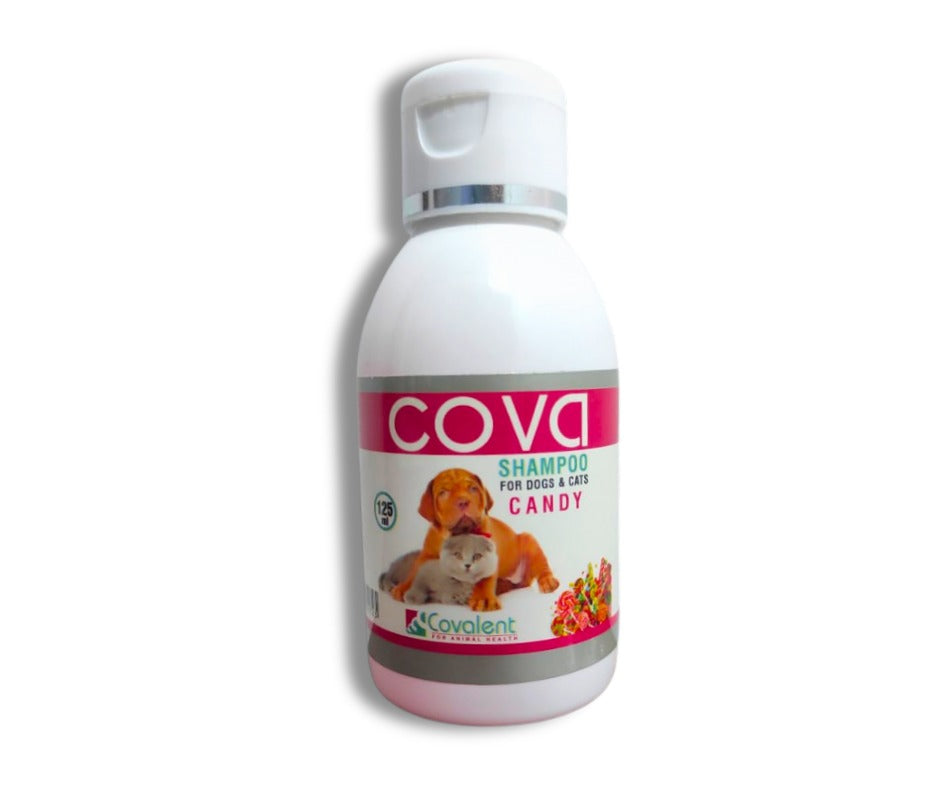 Cova Shampoo For Dogs & Cats ( Candy ) - Mickey's Pets Store