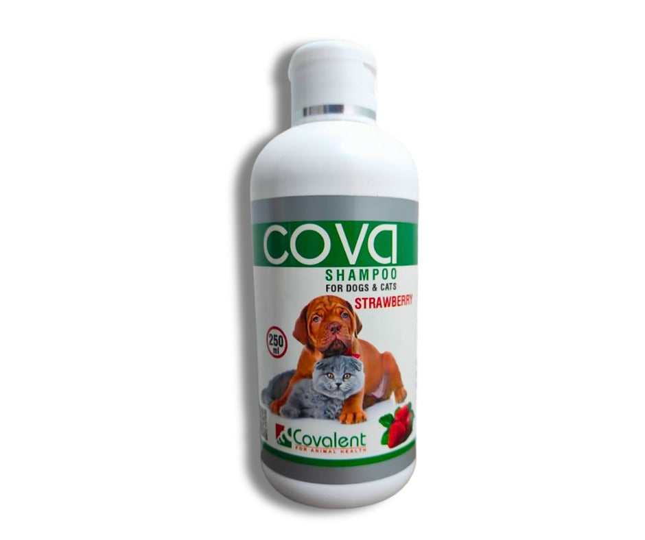 Cova Shampoo For Dogs & Cats ( Strawberry ) - Mickey's Pets Store