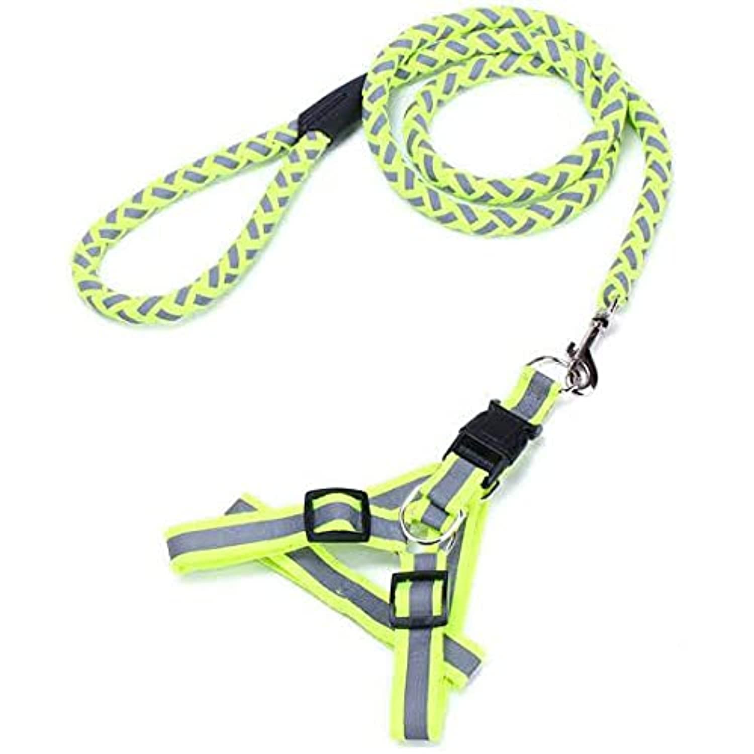 Dog Harness & Leash - Mickey's Pets Store