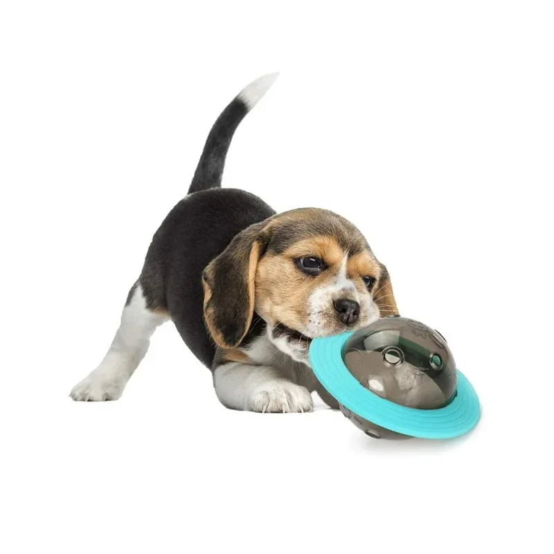 Dog Planet Treat Toy - Mickey's Pets Store