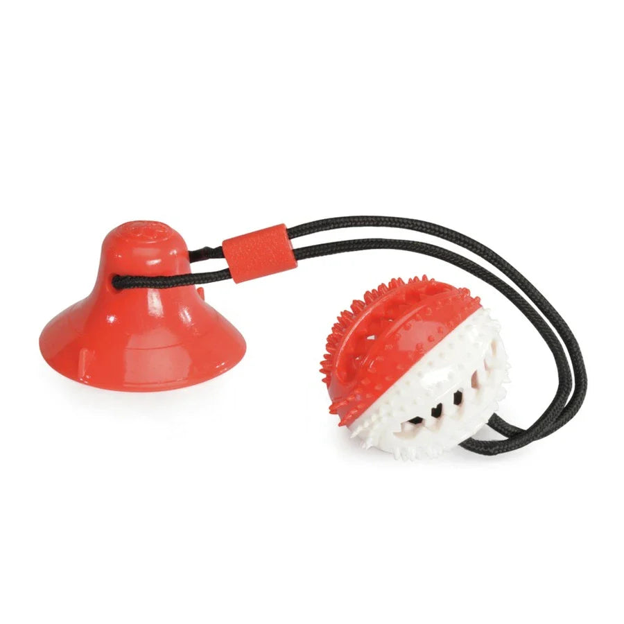 Dog toy TPR ball with suction cup - Mickey's Pets Store
