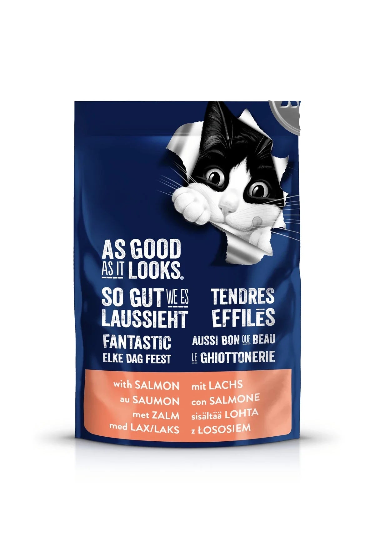 Felix As Good As It Looks Salmon Cat Food 100g - Mickey's Pets Store