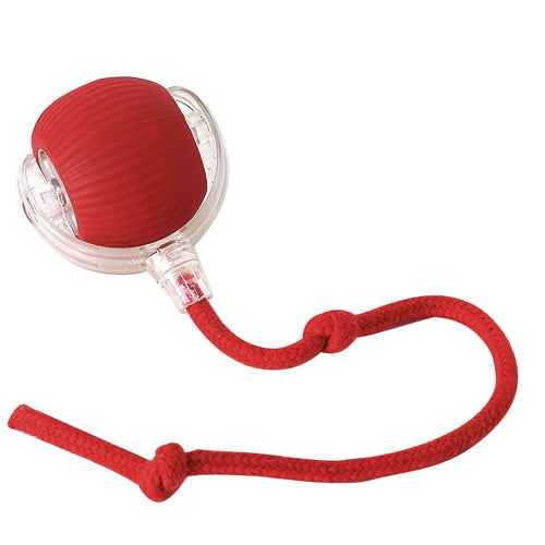 Interactive Rolling Ball Cat Toy - Mickey's Pets Store