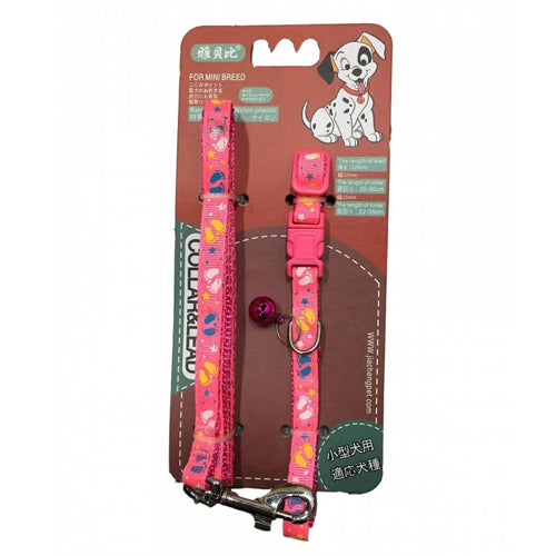 Leash with Collar Plug - Mickey's Pets Store