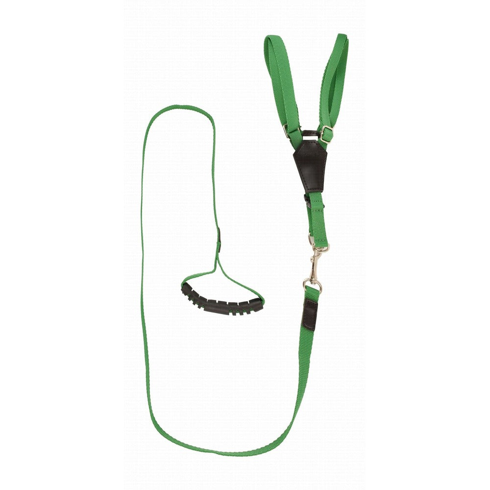 Lino Medium Green Dog Harness with Leash - Mickey's Pets Store
