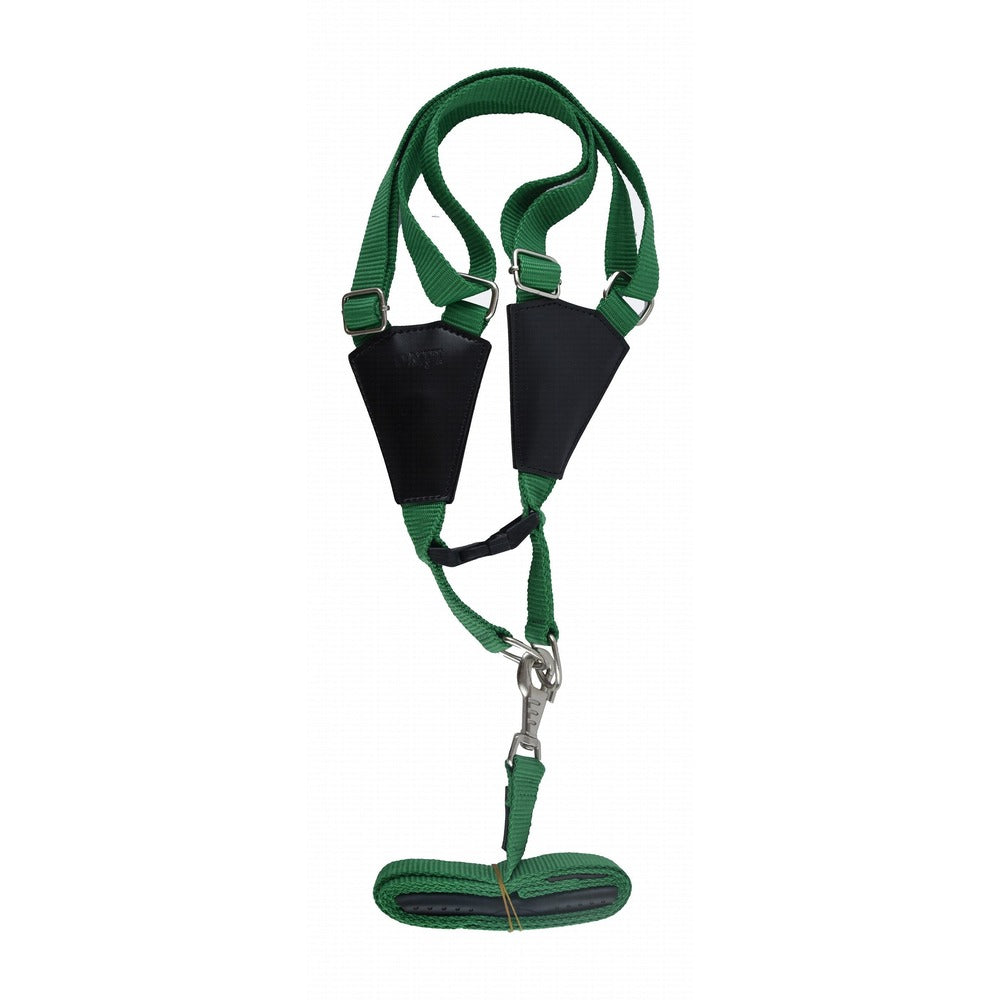 Lino XL Green & Black Dog Harness with Leash - Mickey's Pets Store