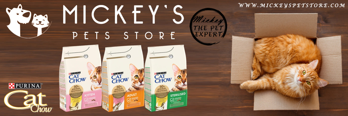 Desktop Slider Image