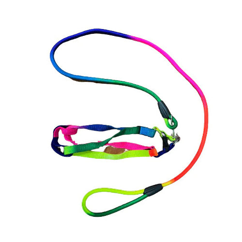 MaxiColor Rainbow Leash Small - Mickey's Pets Store