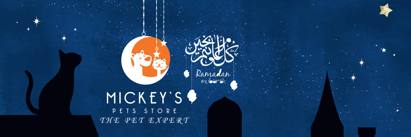 Desktop Slider Image