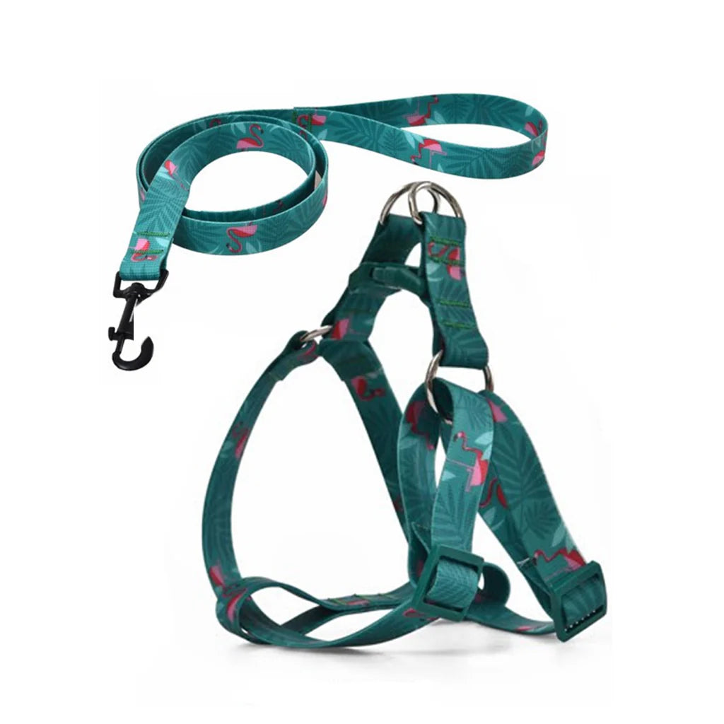 Naomi Pet Collar Harness with Leash  YL109775  YL109773_ S/L - Mickey's Pets Store