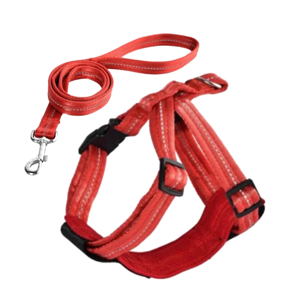 Naomi Pet Leash YL117367-L YL117368 Red - Mickey's Pets Store