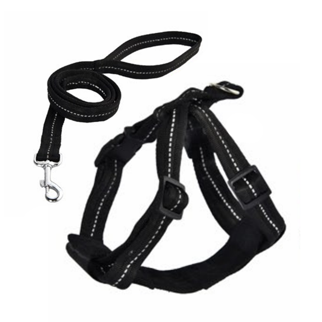 Naomi Pet Leash YL117367-M  YL117368 (BLACK/BLUE) - Mickey's Pets Store