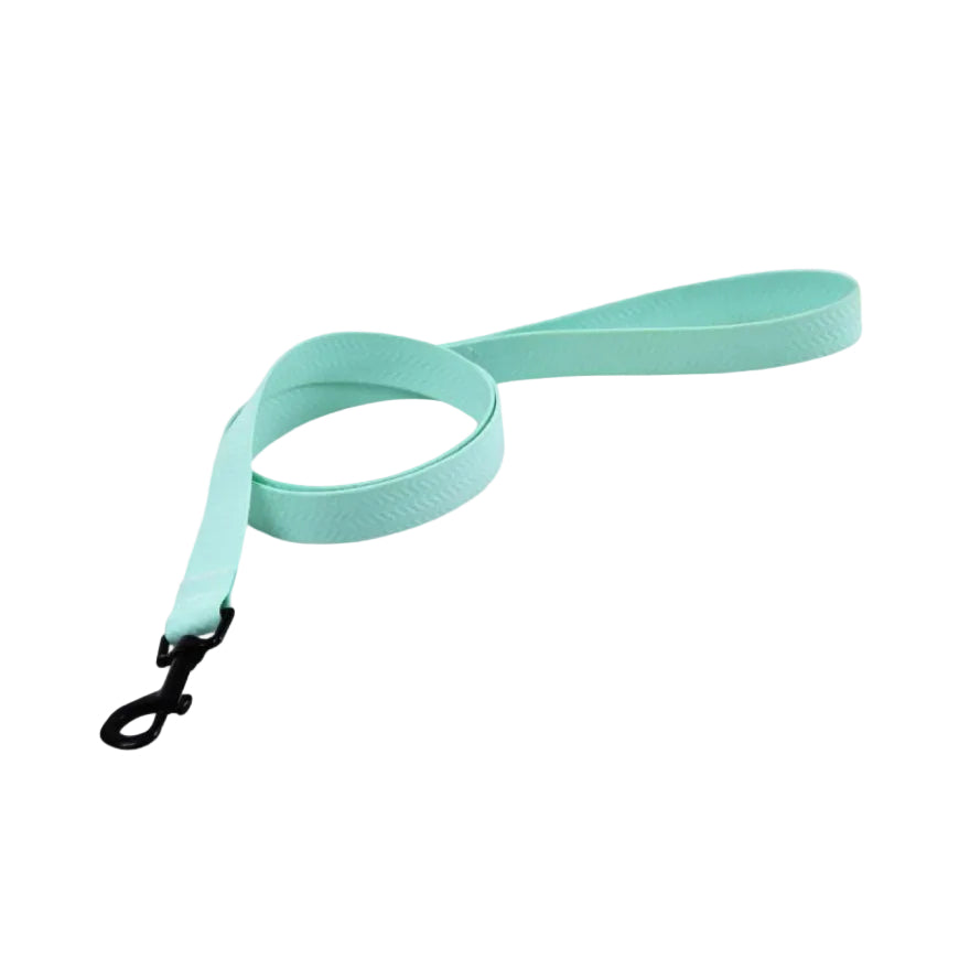 Naomi Pet leash YL109794-M - Mickey's Pets Store