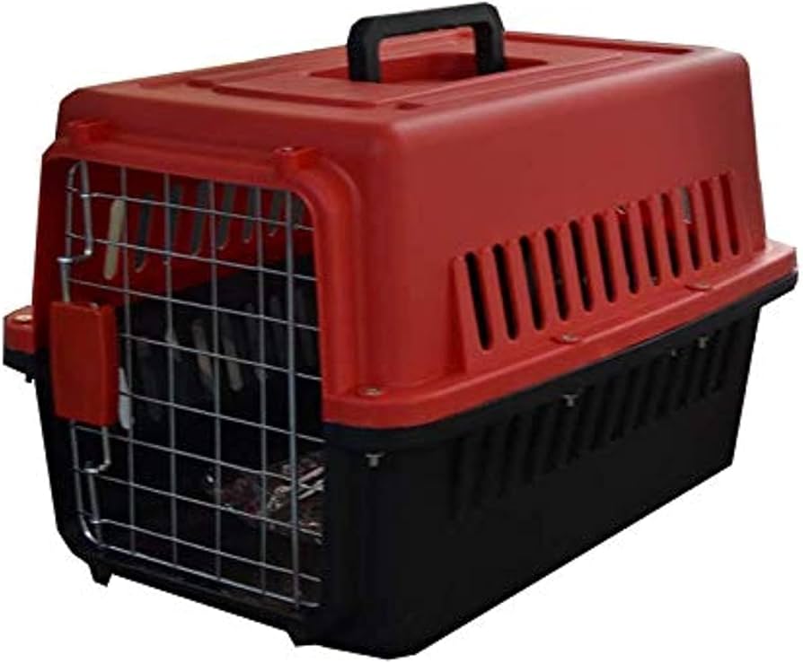 Pet Radwan  Box medium - Mickey's Pets Store