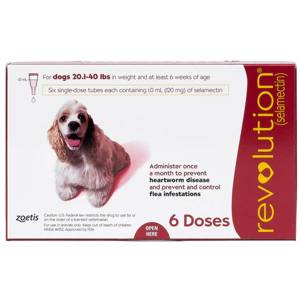 Revolution Topical Solution for Dogs, 20.1-40 lbs - 1 Pipette - Mickey's Pets Store