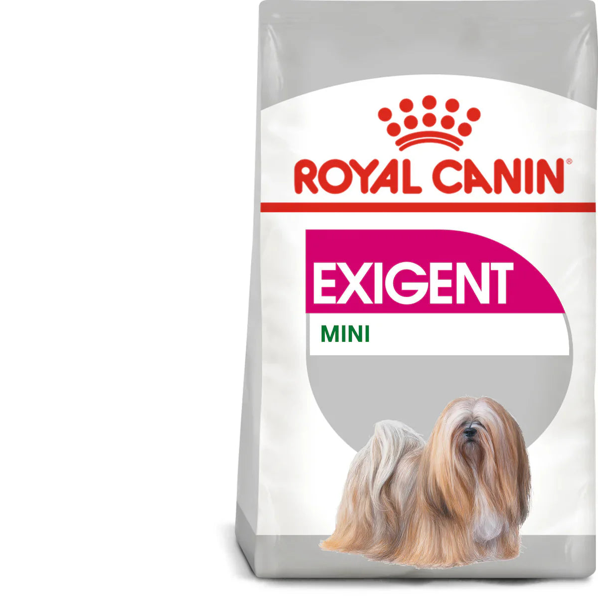 Royal Canin Mini Exigent (3 KG) - Dry food for small dogs up to 10 KG with fussy appetite. Over 10 months - Mickey's Pets Store