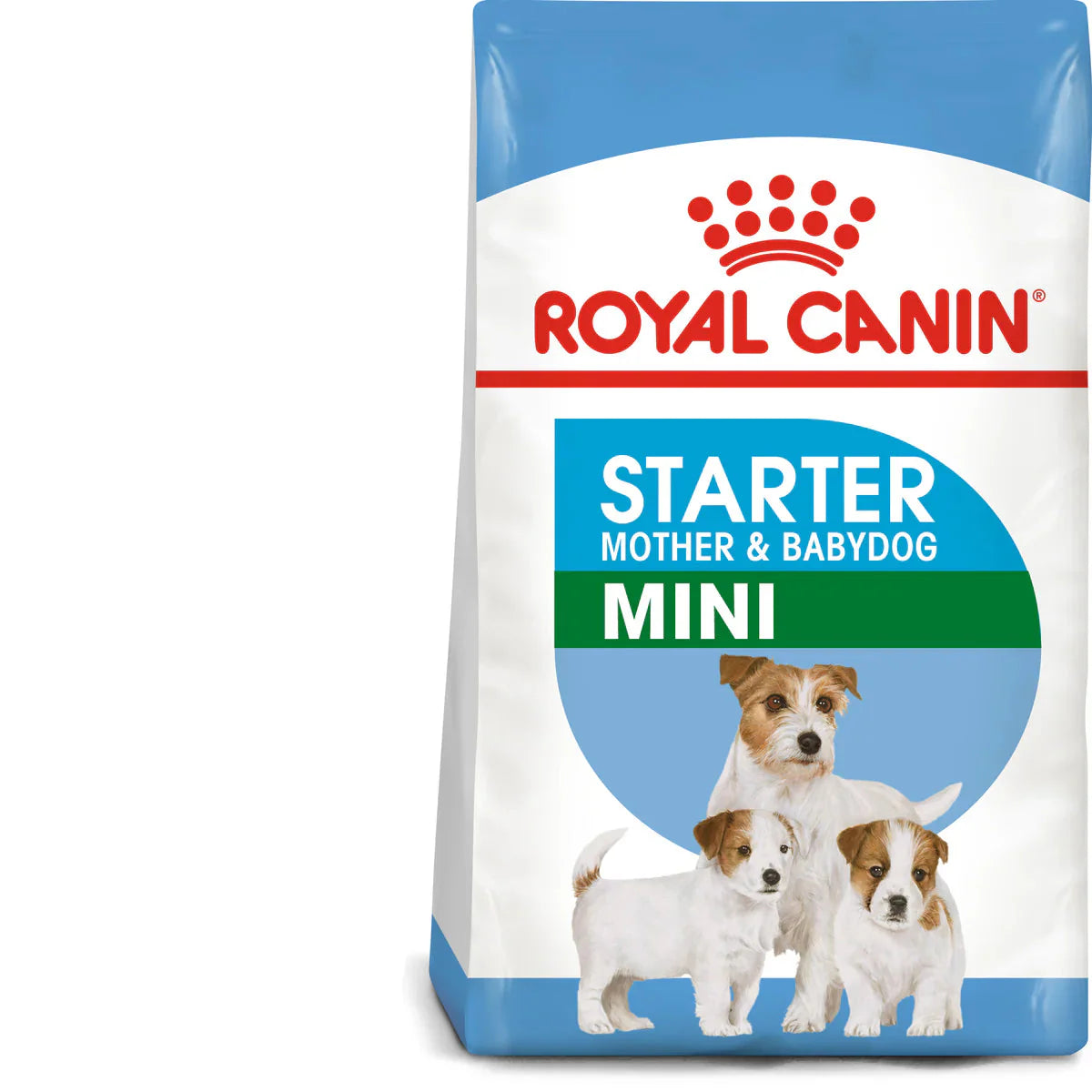 Royal Canin Mini Starter Mother & Babydog (1 KG) - Dry food for mini puppies. Adult weight up to 10 KG - Mother during gestation and lactation - Weaning puppies up to 2 months - Mickey's Pets Store