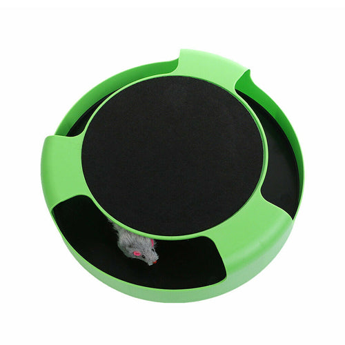 Catch the Mouse Motion Cat Toy - Mickey's Pets Store