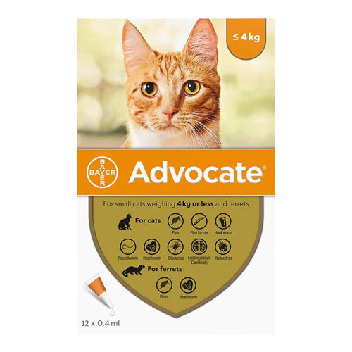Advocate For Small Cat - 1 Pipette - Mickey's Pets Store