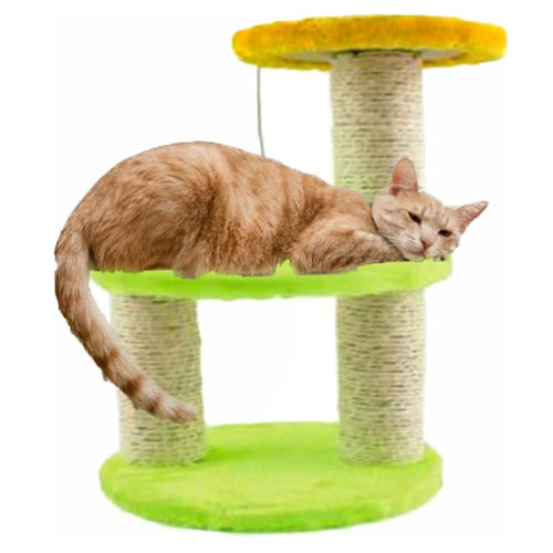 Scratch Toy 15 - Mickey's Pets Store