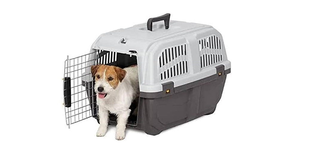 Skudo Iata Pet Carrier Italy Made - Mickey's Pets Store