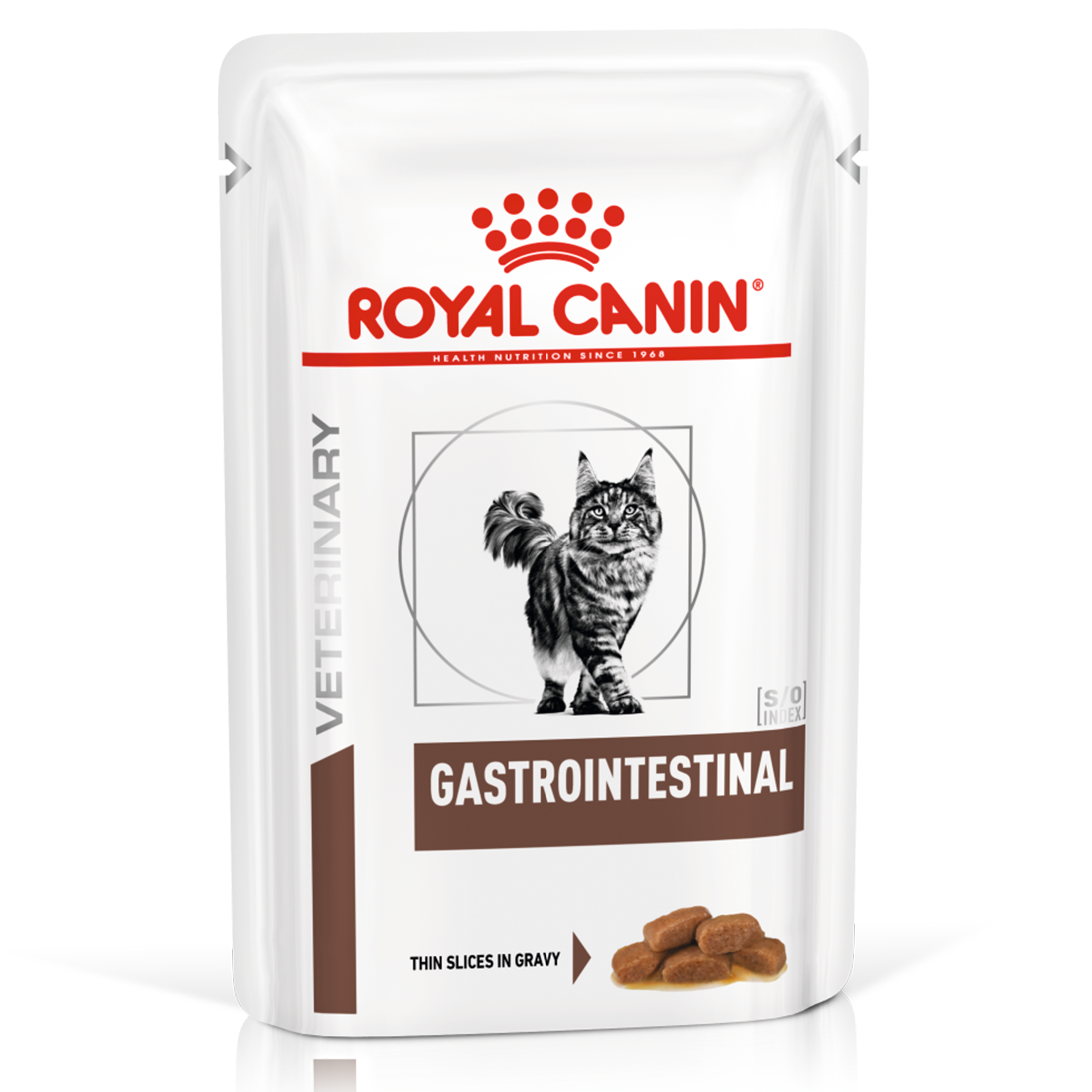 Royal Canin Feline Gastro Intestinal 100g - Mickey's Pets Store